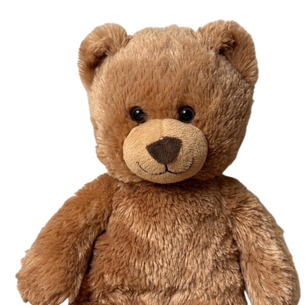 Build A Bear Workshop Brown Shaggy Plush Teddy Bear 2015 Signature Paw Patch - Picture 2 of 8